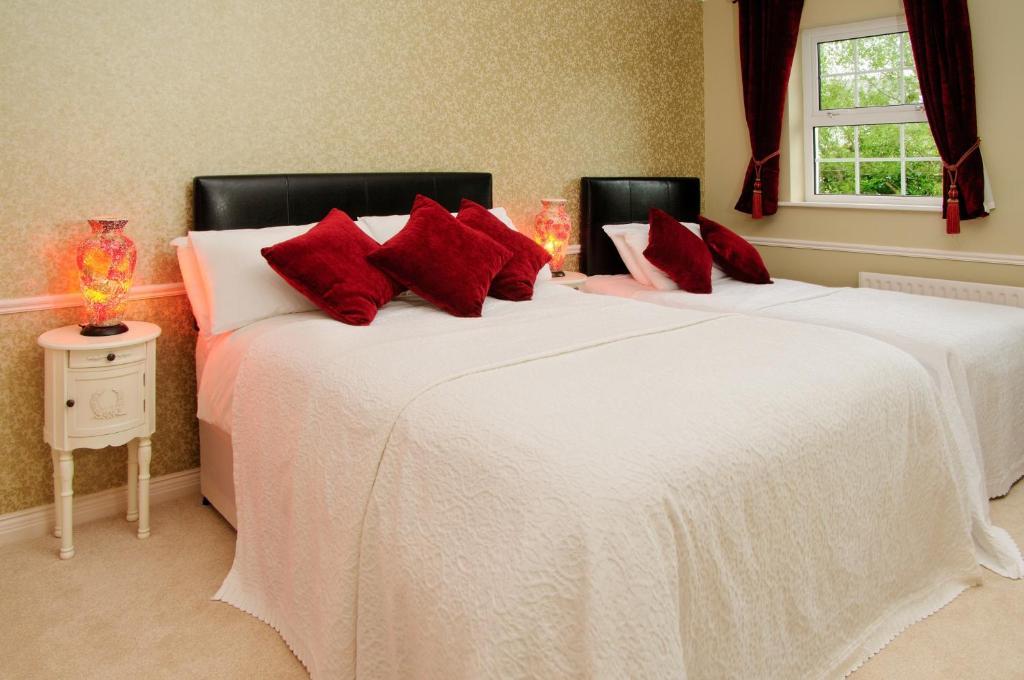 Sika Lodge Guesthouse Killarney Cameră foto